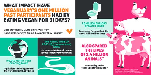 Veganuary 1 Million Infographic US.jpg